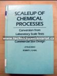 Scaleup of chemical processes - náhled