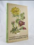 Taschenbuch der meimischen Frühjahrsblumen (Taschenbuch der heimischen Blumen, Band I) - náhled