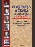 Slovenská a česká literatúra na dlani - náhled