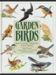 Garden Birds. How to attract birds to your garden - náhled