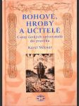 Bohové, hroby a učitelé - cesty českých spisovatelů do pravěku - náhled