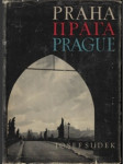 Josef sudek - praha - náhled