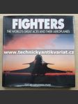 Fighters - náhled