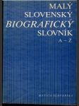 Malý slovenský biografický slovník Veľký formát) - náhled