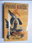 První kníže, aneb, Předtucha moci - příběh z časů, kdy muži byli ještě muži a ženy ženami - náhled