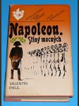 Napoleon - Stíny mocných - náhled