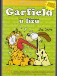 Garfield u lizu - náhled