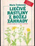 Liečivé rastliny z Božej záhrady (veľký formát) - náhled