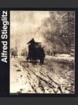 Alfred Stieglitz - náhled