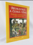 Moravská a česká vína: Průvodce ročníkem 1999 a jeho hodnocení - náhled