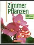 Zimmer Pflanzen (veľký formát) - náhled