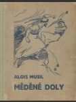 Měděné doly - náhled