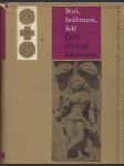 Bozi, bráhmani, lidé : Čtyři tisíciletí hinduismu - náhled