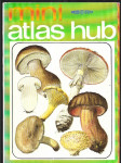 Mini atlas hub - náhled