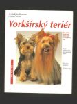 Yorkšírský teriér - jak o něj správně pečovat a porozumět mu - náhled