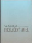 Prezlečený anjel (malý formát) - náhled