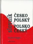 Česko-polský a polsko-český slovník - náhled
