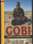 Gobi - tajemství ztraceného města - náhled