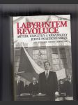 Labyrintem revoluce (Aktéři, zápletky a křižovatky jedné politické krize: Od listopadu 1989 do června 1990) - náhled