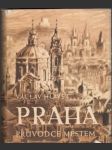 Praha - průvodce městem (malý formát) - náhled