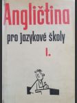 Angličtina pro jazykové školy I. - náhled