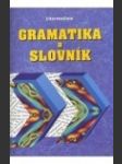 Gramatika a slovník intermediate - náhled