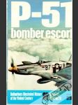 P-51 bomber escort - náhled
