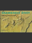 Skamenelý život - náhled