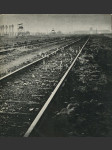 Auschwitz-Birkenau - náhled