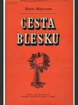 Cesta blesku - náhled