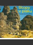 Stopy v písku - náhled