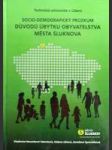 Socio-demografický průzkum úbytku obyvatelstva Šluknova - náhled