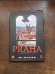 Praha a zajímavá místa v okolí - náhled