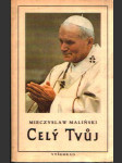 Celý Tvůj - náhled