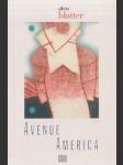 Avenue America - náhled