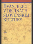 Evanjelici v dejinách slovenskej kultúry I. (veľký formát) - náhled