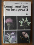 Lesní rostliny ve fotografii - náhled