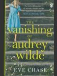 The vanishing of audrey wilde - náhled