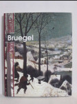 Život umělce: Bruegel - náhled