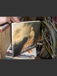 Thomas Gainsbobough - Malá galerie - náhled