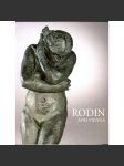 Rodin and Vienna [Belveder, Vídeň, 1. 10. 2010 - 6. 2. 2011] [Auguste Rodin] - náhled