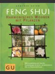 Feng Shui - náhled