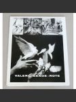 Valerij Gende-Rote [Edice Mezinárodní fotografie; 10] - náhled