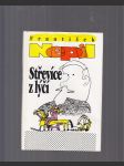 Střevíce z lýčí - náhled