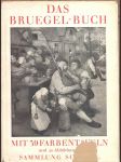 Das bruegel - buch - náhled