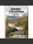 Stezky k pustinám - náhled