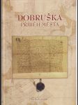 Dobruška-příběh města - náhled