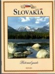 Slovakia pictorial guide - náhled