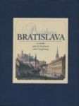 Bratislava a okolie - náhled