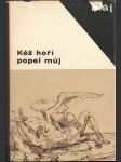 Kéž hoří popel můj - náhled